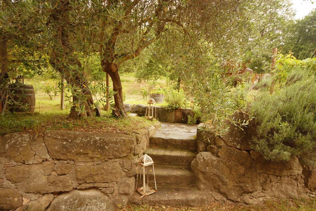 Villa Pieve Di Caminino Historic Farm à Podere Caminino Extérieur photo